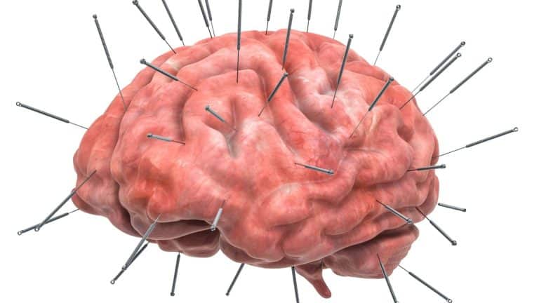 ‘Brain Rot’: Ketika Scroll Media Sosial Mengganggu Kesehatan Mental Remaja